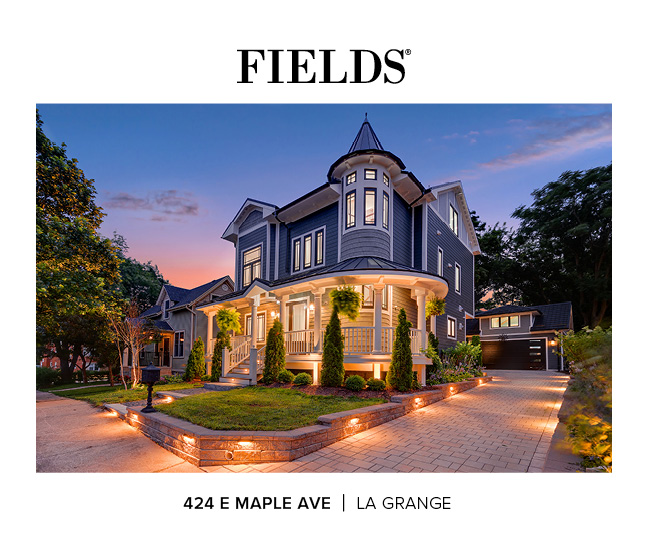 424 E Maple Ave La Grange IL 60525 Brochure Online tumbnail 01